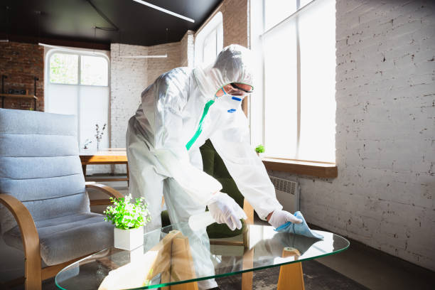 Best Industrial Mold Remediation  in Ada, MN